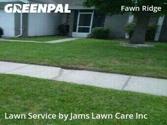 Lawn Mow nearby Tampa, FL, 