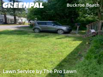 Lawn Maintenance nearby Hampton, VA, 