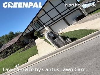 Lawn Care Service nearby San Antonio, TX, 