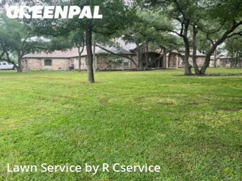 Yard Cutting nearby Georgetown, TX, 
