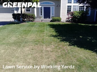 Yard Mowing nearby University Place, WA, 