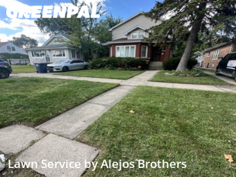 Yard Maintenance in Maywood, 60153, Lawn Cutting by Alejos Brothers, work completed in Oct , 2025