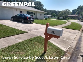 Lawn Care nearby Palm Harbor, FL, 