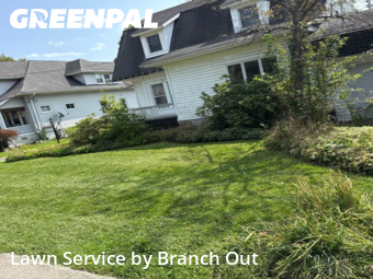 Grass Cut nearby Hamburg, NY, 