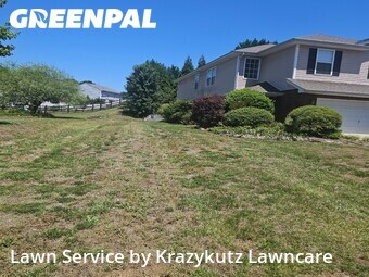 Lawn Mow nearby Kannapolis, NC, 
