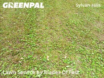 Yard Cutting nearby Atlanta, GA, 