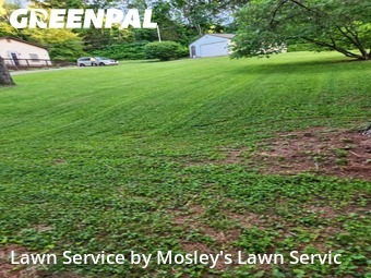 Lawn Service nearby Clarksville, TN, 