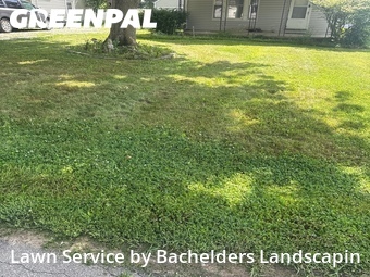 Lawn mowed in Ashland, 44805