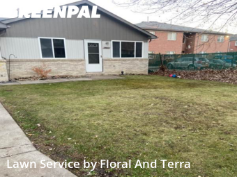 Lawn Care nearby Roseville, MI, 