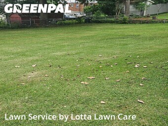Grass Cut nearby Chattanooga, TN, 