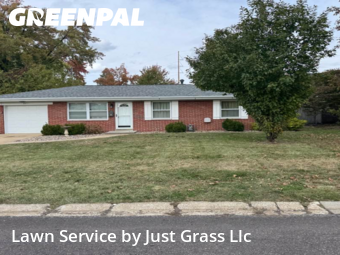 Lawn Work in Belleville, 62223, Weed Trimming by Just Grass Llc, work completed in Nov , 2025