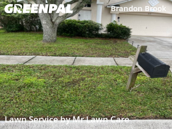 Yard Cutting nearby Valrico, FL, 