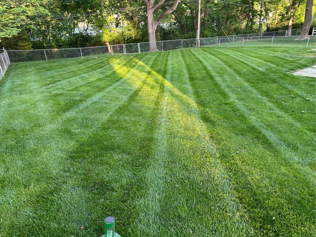 Junior Lawn Service Lawn Care Services in Kansas City, MO