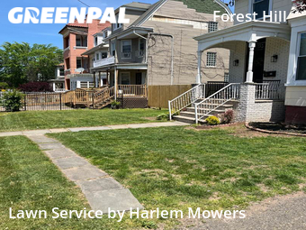 Lawn Mowing nearby Newark, NY, 