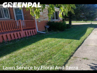 Lawn Mow nearby Eastpointe, MI, 