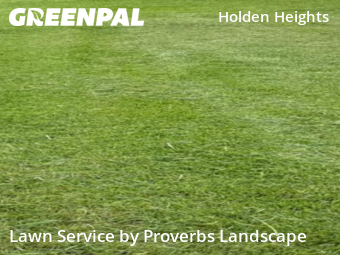 Yard Cutting nearby Kissimmee, FL, 