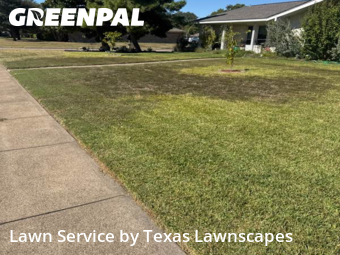 Yard Cuttingin Richardson,75081,Grass Cut by Texas Lawnscapes, work completed in Dec , 2025