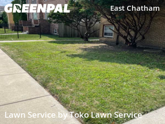 Lawn Mow nearby Chicago, IN, 