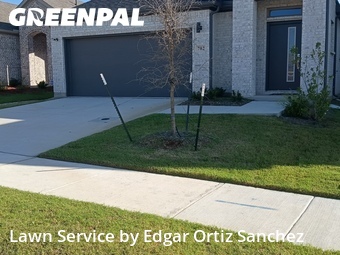 Lawn mowed in Princeton, 75407