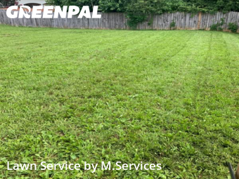 Lawn Maintenance nearby Greensboro, NC, 