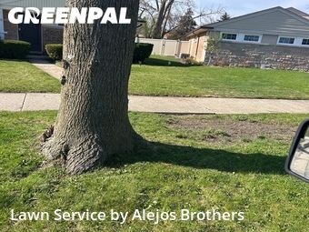 Lawn Cut nearby Elmhurst, IL, 