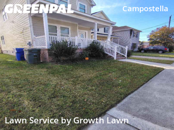 Garden Trimming in Norfolk, 23523, Lawn Cutting by Growth Lawn, work completed in Nov , 2025