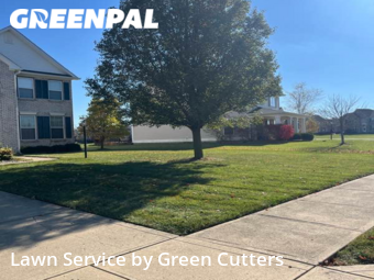Lawn Cut nearby Westfield, IN, 