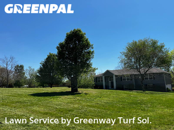 Yard Cutting nearby Spring Hill, TN, 