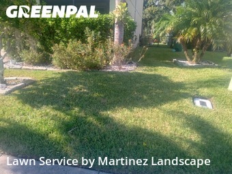 Weed Trimming in Tavares, 32778, Yard Grooming by Martinez Landscape, work completed in Nov , 2025