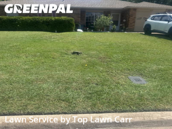 Weed Trimming in Glenn Heights, 75154, Backyard Mowing by Top Lawn Carr, work completed in Aug , 2025