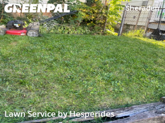 Grass Cutting nearby Pittsburgh, PA, 