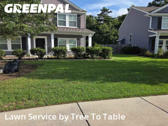 Yard Mowing nearby Charleston, SC, 