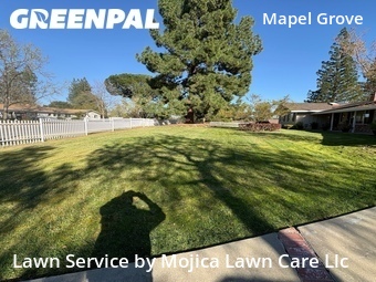 Work completed by grass-care-professionals-in-Carmichael-CA