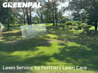 Grass Cutting nearby Birmingham, AL, 