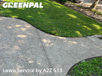 Lawn Cut nearby Covington, OH, 