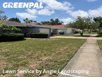 Lawn Mow nearby Clearwater, FL, 