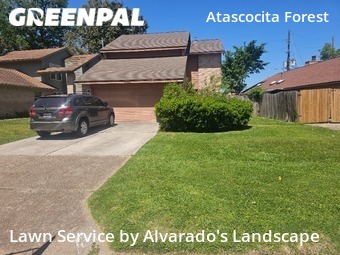 Yard Cutting nearby Humble, TX, 