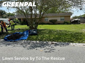 Grass Cutting nearby Jacksonville Beach, FL, 