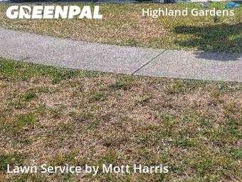 Lawn Maintenance nearby Hollywood, FL, 