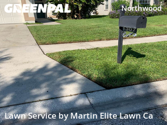 Grass Cut nearby Wesley Chapel, FL, 