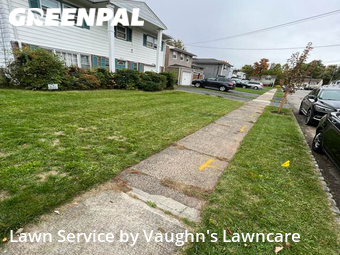 Lawn Cut nearby Union, NJ, 