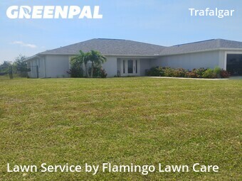 Lawn Care nearby Cape Coral, FL, 