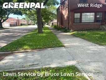 Grass Cut nearby Chicago, IL, 