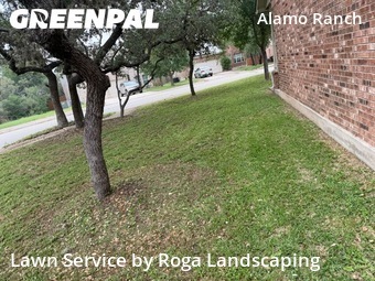 Lawn Cut nearby San Antonio, TX, 