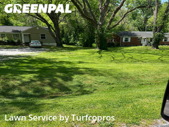 Lawn Cut nearby Nashville, TN, 