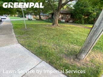 Lawn Care nearby Park Forest, IL, 