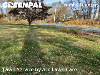 Grass Services in Trumbull, 6611, Mowing Services by Ace Lawn Care, work completed in Nov , 2025