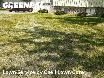 Lawn Care nearby Maple Grove, MN, 