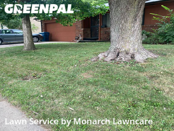 Lawn Cutting nearby Indianapolis, IN, 