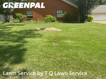 Yard Mowing nearby Brandon, MS, 